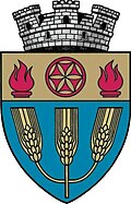 Wappen von Sărmașu