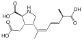 Structure moléculaire de l’acide domoïque