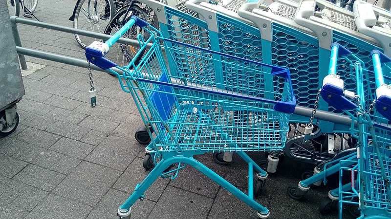 File:Blue Albert Heijn shopping carts at the Albert Heijn Sumatrastraat, The Hague (2019) 03.jpg