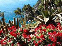 Jardíns de Cap Roig (Girona)