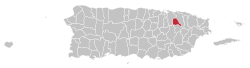 Localização de Trujillo Alto em Porto Rico