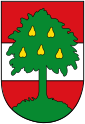 Dornbirn: insigne