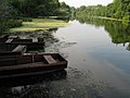 Der Fluss in der Nähe von Bodrogkeresztúr