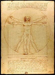 "La viro de Vitruvio" desegnita de Leonardo da Vinci en 1490 orientigis la modelon de la proporcioj de la homa korpo.