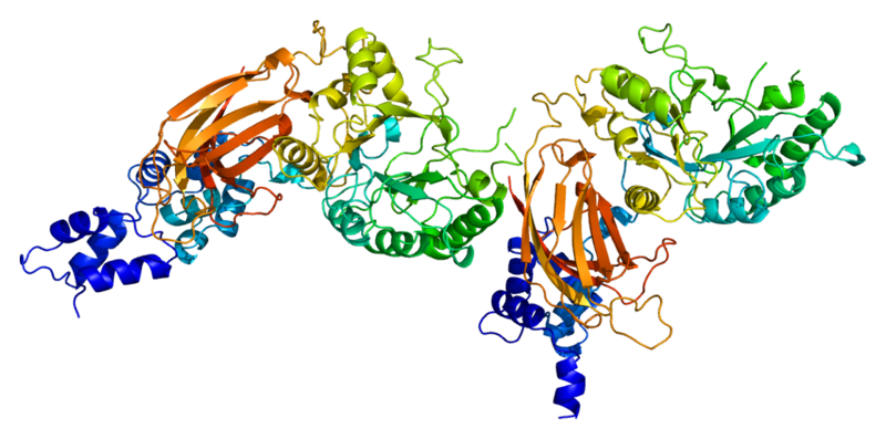 File:Protein PLCD1 PDB 1djg.png