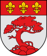 Wappen von Pāvilosta