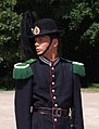 Royal Guardsman in Oslo, Noorwegen