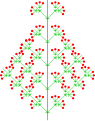 Heterokladische Thyrse