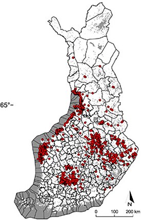 Taigapunkin levinneisyys Suomessa näytteiden perusteella