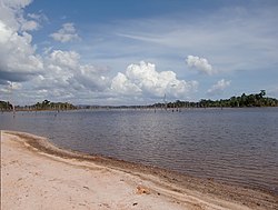 Brokopondo Reservoir as seen from Stoneiland