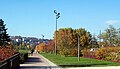 Le parc de Gerland