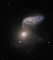 Arp 91 (NGC 5953 und NGC 5954)