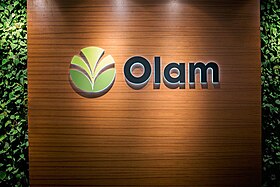 illustration de Olam