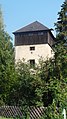 Turm des einstig prunkvollen Schloss Freidegg bei Ferschnitz (Niederösterreich)