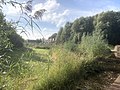 Uitzicht op het Pard Het Roege Bos en de straat Het Roege Bos vanaf de Eelderbaan