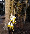 Lobster buoys hanging on a tree, Sprucehead Island, Maine, United States