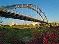 The White Bridge