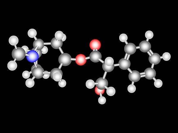 Gallery of structural formulas