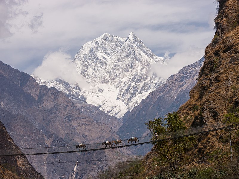 File:160316-031 Bridge near Tatopani.jpg