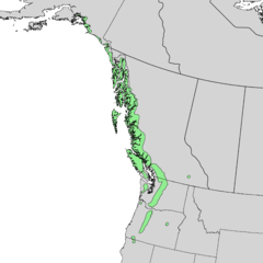 Distribuição natural de Callitropsis nootkatensis