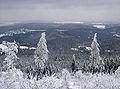 Vista dal Großer Feldberg sul Taunus