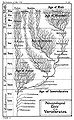 Haeckel's Paleontological Tree of Vertebrates, c. 1879.