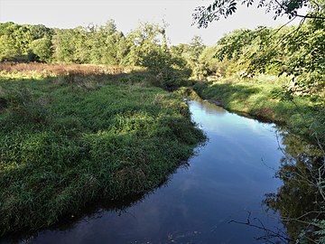 Le Bandiat en amont du pont de la Roderie, en limite d'Augignac (à gauche) et d'Abjat.