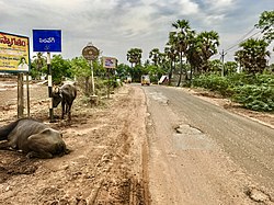 Pedavegi Village Board