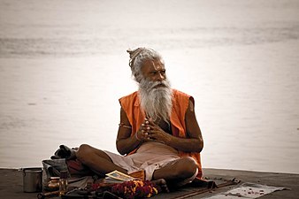 Sādhu al Ganges
