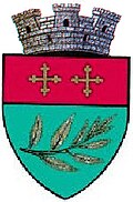 Wappen von Salcea