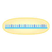 202404 miRNA-protain complex.svg