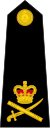 Lieutenant-general