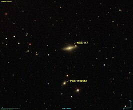 NGC 117