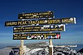 Schildkombination 1 am Uhuru Peak