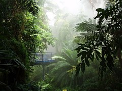 Interior of Bicentennial Conservatory