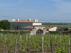 Ferme et vignoble.