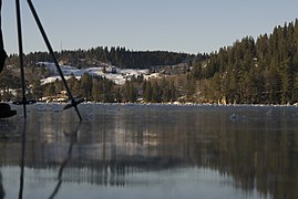 View of the lake (Feb 2009)