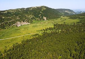 Mokra Gora