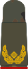 Brigadegeneral (seragam lapangan)