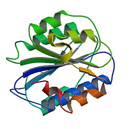 Image illustrative de l’article Facteur de von Willebrand