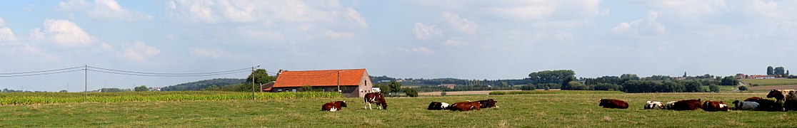 Vue panoramique.