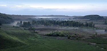 Photographie d'une vallée couverte de prairies et d'arbres avec de la brume.