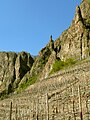 Der Weinberg Rotenfels im April