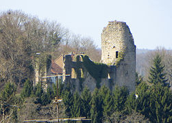 Frauenberg Burgruine aus Südosten.JPG