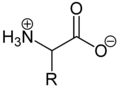 Aminosäure als Zwitterion