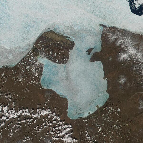 File:Chaunskaya Bay (MODIS on June 5 2001).jpg