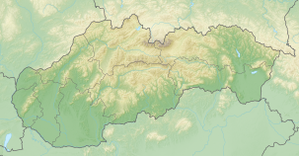 Biathlon-Europameisterschaften 2024 (Slowakei)