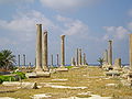 Carrièra de las Colomnas sul site Al Mina.