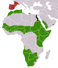 Distribución no mundo (verde - nativa, vermello - introducida existente, negro - introducida extinta)