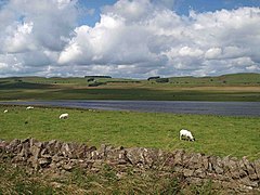 Grindon Lough (lake) from Stanegate - geograph.org.uk - 1409183.jpg